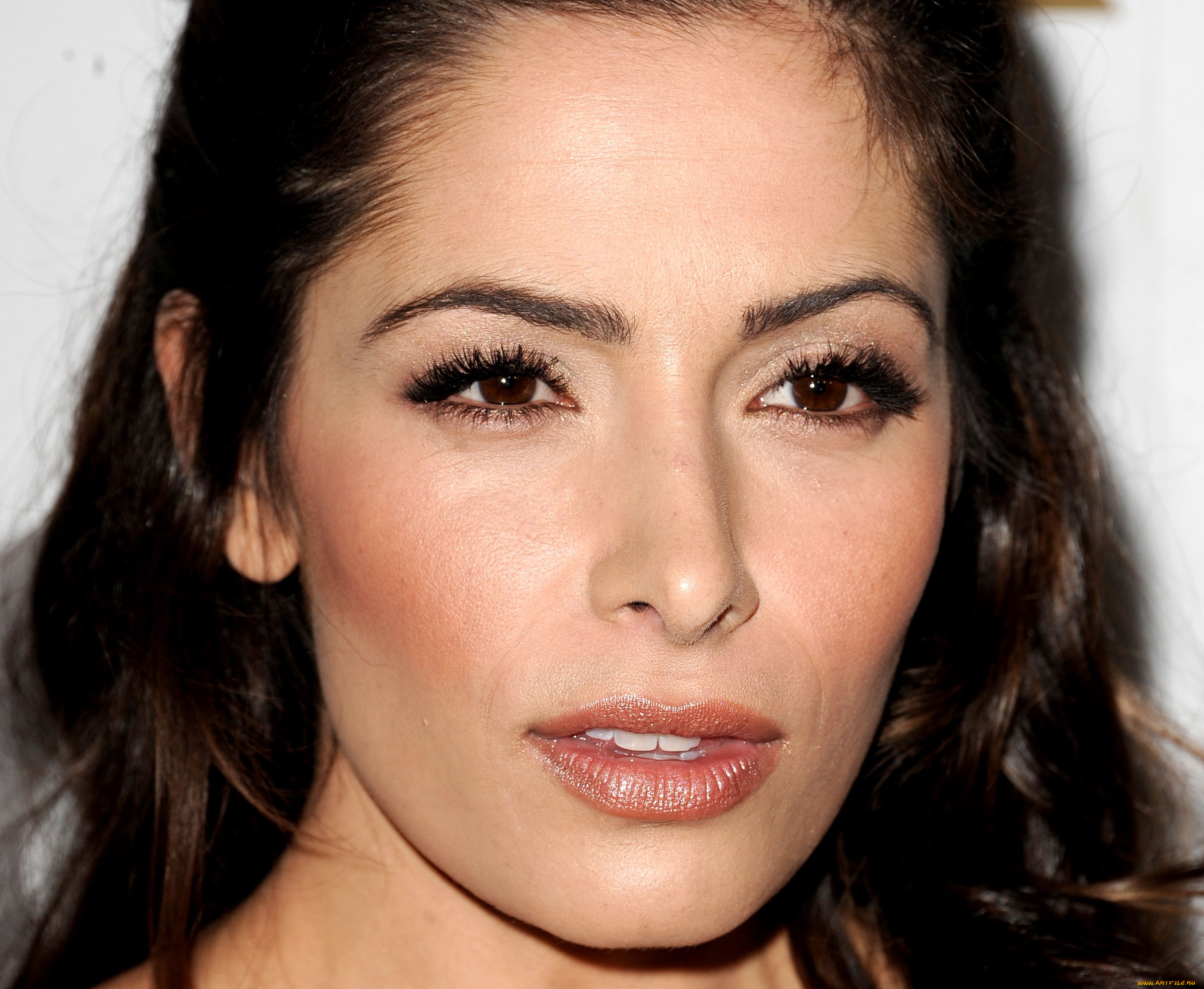, sarah shahi, , 
